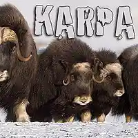 Picture for song 'Cashmere & Musk' by artist 'Jaq Karpa'