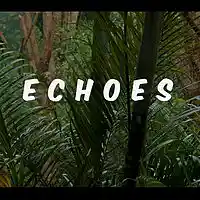 Picture for song 'Echoes-SOLD' by artist 'JuSaMeLoDy'