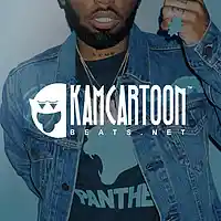 Picture for song 'Standards ' by artist 'KamCartoon'