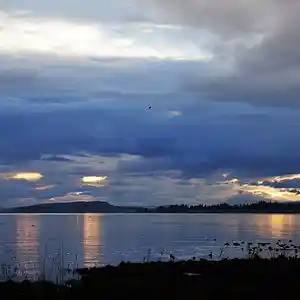 Picture for song 'grace me' by artist 'Mattila'