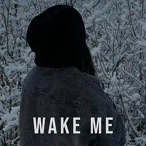 Picture for song 'Wake Me' by artist 'Mowj'