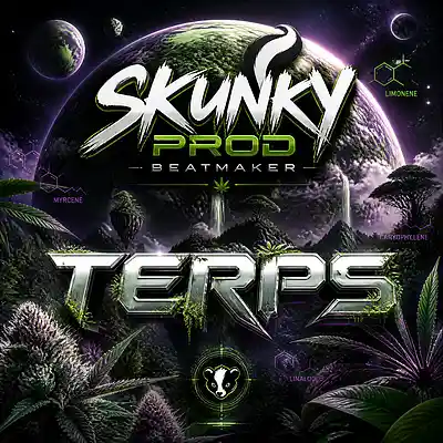 Picture for song 'Terps * Trap Beat 123 bpm by Skunky Prod Beatmaker' by artist 'Skunky Prod Beatmaker'