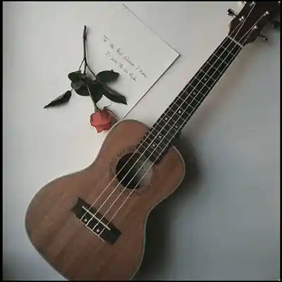 Picture for song 'Sad Ukulele Lo-fi x joji type beat //Nostalgia 2' by artist 'Stc Beats VB'