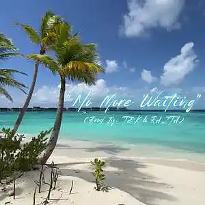 Picture for song 'NO MORE WAITING (GUITAR) UP BEAT R&B' by artist 'TDK'