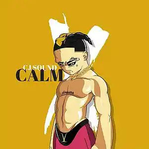 Picture for song 'Calm' by artist 'CJ Sound'