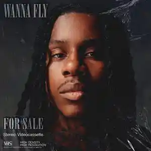 Picture for song 'Wanna Fly (Polo G) Buy 1 Get 1 Free' by artist 'Cultist'