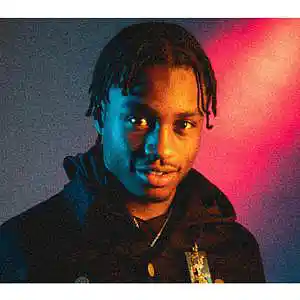 Picture for song 'ISSUES / LIL TJAY x POLO G TYPE BEAT' by artist 'DaReal Beats'