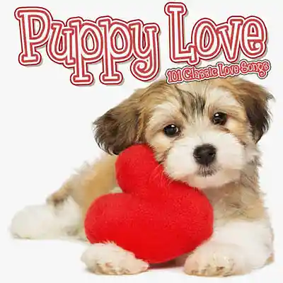 Picture for song 'puppy love' by artist 'dollymolly'