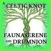 Picture for song 'A CELTIC KNOT WITH DRUMNJON FOR CBC CHALLENGE' by artist 'Drumnjon'