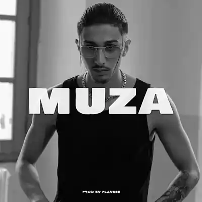 Picture for song '"Muza" Old School Type Beat' by artist 'flaybee'
