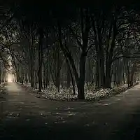 Picture for song 'Choices' by artist 'Madnez'