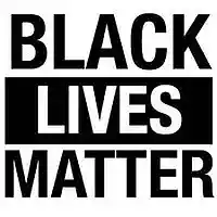 Picture for song 'BLACK LIVES MATTER' by artist 'Profose Muzik(US)'