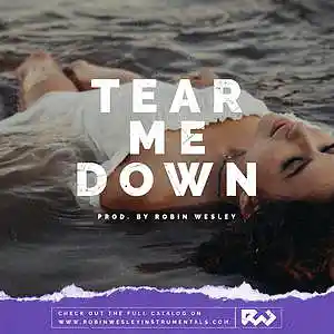Picture for song 'Tear Me Down' by artist 'Robin Wesley'