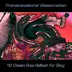 Picture for song 'Gerrald And The Pineapple Dream' by artist 'Transcendental Desecration'