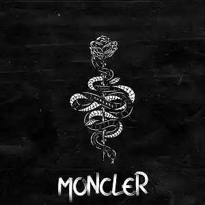 Picture for song 'Moncler' by artist 'TripHop Beatz'