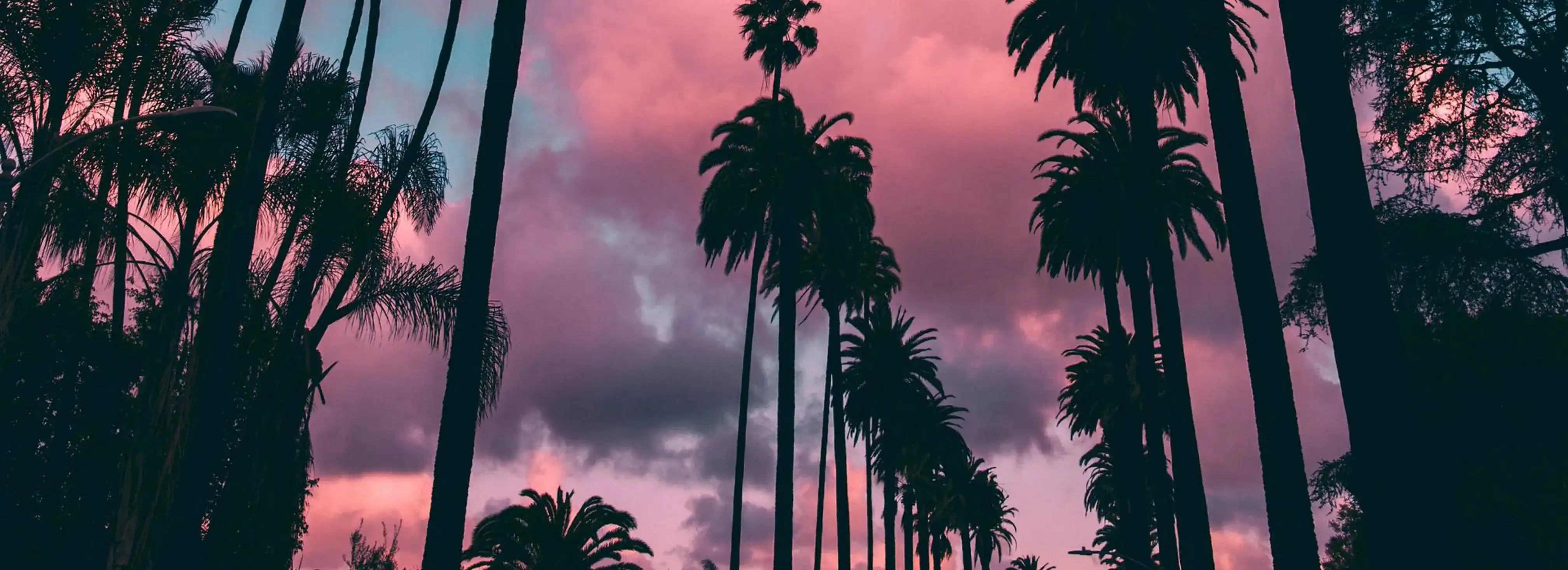 cover pic