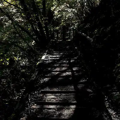 Picture for song 'A Walk from Magome to Tsumago (2025)' by artist 'e0R'