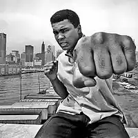 Picture for song 'Muhammad Ali (Champion) - FameFaiellaBeats' by artist 'FameFaiellaBeats'