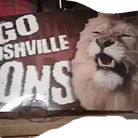 Picture for song 'Yam America' by artist 'Joe Aldworth'