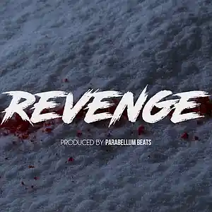Picture for song 'Revenge 2' by artist 'Parabellum Beats'