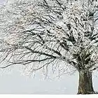 Picture for song 'DIAS DE FEBRERO.mp3' by artist 'PHIL SORIA'