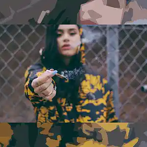Picture for song '(FREE) Sex Kush' by artist 'SeriousOnTheBeat'