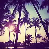 Picture for song 'Thinking Lately Beat Sample' by artist 'SJS MUSIC STUDIO'