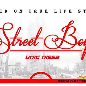 Picture for song 'STREETBOY' by artist 'Unic nigga'