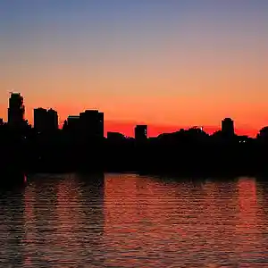 Picture for song 'Spooky' by artist 'Algae Association'