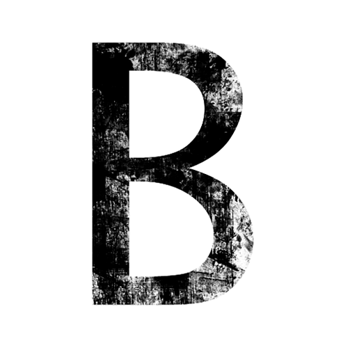 Artist picture