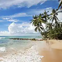 Picture for song 'Cloud Nine' by artist 'buybeatsandtracks.com'