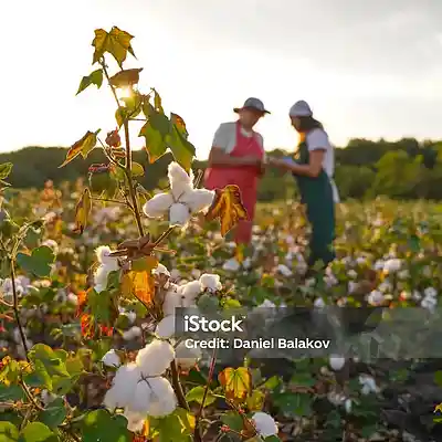 Picture for song 'The Seventh Day' by artist 'Floyd Feske'