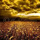 Picture for song 'GasMask Queen - Golden Fields' by artist 'GasMask Queen Productions'