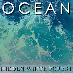 Picture for song 'Ocean' by artist 'Hidden White Forest'