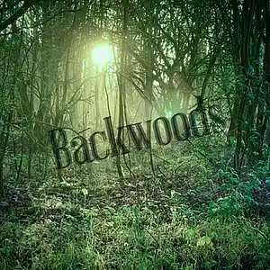 Picture for song 'Backwoods' by artist 'Hockey Mask Beats'