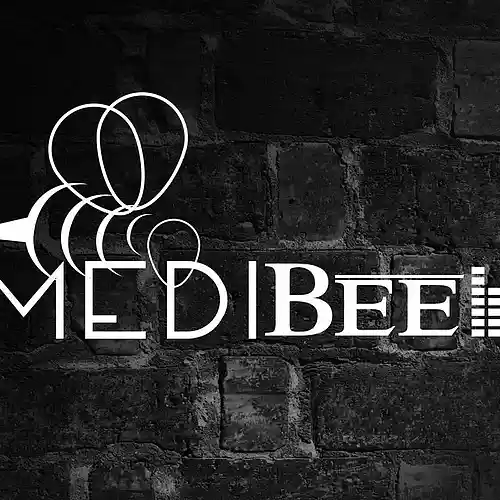 Picture for song 'Alien Spaceship' by artist 'MEDIBee'