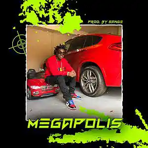 Picture for song 'Polo G x Toosii x Kodak Black Type Beat-Megapolis' by artist 'sange beats'