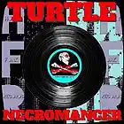 Picture for song 'Tale of The Reverb Ranger' by artist 'Turtle Necromancer'