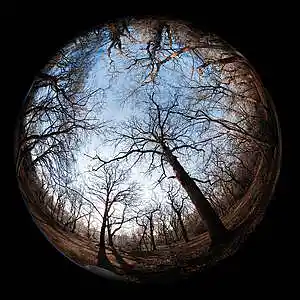 Picture for song '"Universal"#Beats For Sale' by artist 'whoDeanyBeatz'