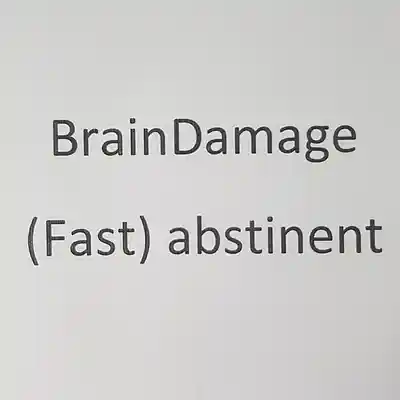 Picture for song 'BrainDamage - (Fast) abstinent' by artist 'BrainDamage(Germany)'