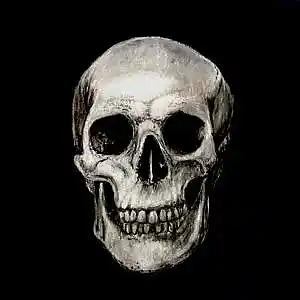 Picture for song 'HURRICANE' by artist 'HOLLYWOOD LEGEND PRODUCTIONS'