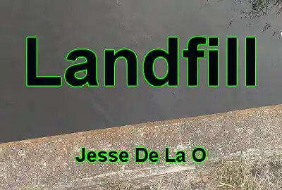 Song picture of 'Landfill'