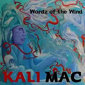 Picture for song 'whats free ft. Will. A' by artist 'Kali Mac'