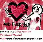 Picture for song 'Precious Wound' by artist 'The Reason Enough'