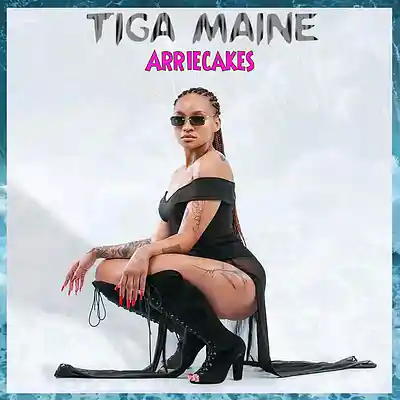 Picture for song 'Tiga Maine - Arriecakes' by artist 'Tiga Maine9'