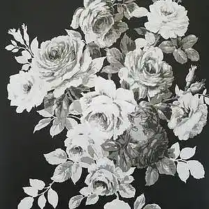 Song picture