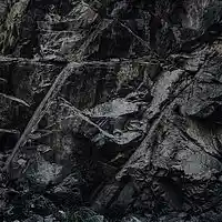 Picture for song 'Backseat (collab w/ Dreammakerz)' by artist 'AYWABEATS'