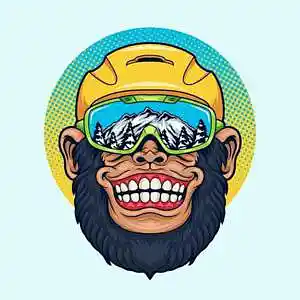 Picture for song 'Coolin (BUY 2 GET 1 FREE)' by artist 'D-Money On The Beat'