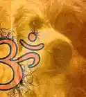 Picture for song 'Triangle' by artist 'Hologram1999'