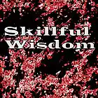 Picture for song 'Skillful Wisdom' by artist 'Kingfisher Muzik'